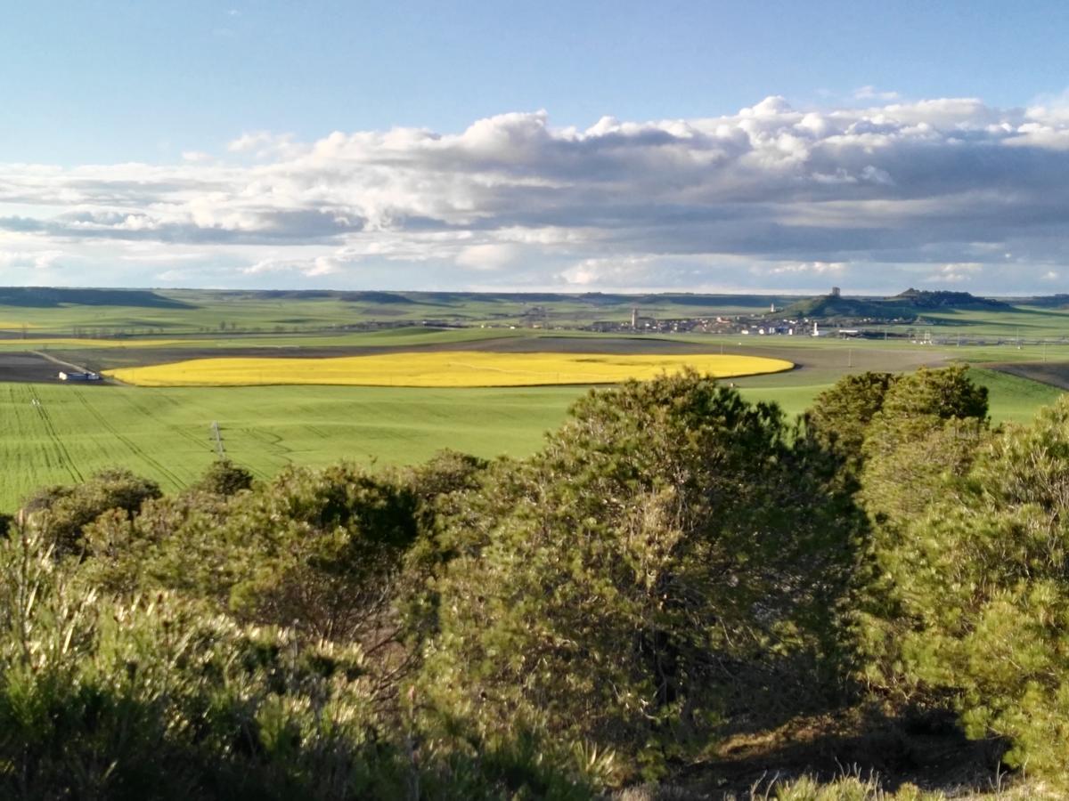 La Aldea Colorada Casa Rural Mota del Marqués Dış mekan fotoğraf
