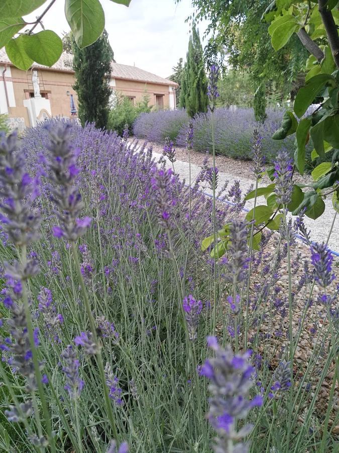La Aldea Colorada Casa Rural Mota del Marqués Dış mekan fotoğraf